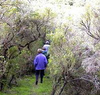 Jack And Hilda McArthur Walk - Accommodation Broome