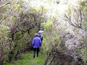 Jack And Hilda McArthur Walk - Accommodation Broome 0
