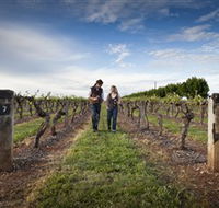 Coonawarra Wineries Walking Trail - Accommodation Broome