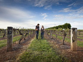 Coonawarra Wineries Walking Trail - Accommodation Broome 0