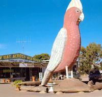 The Big Galah - Accommodation Broome