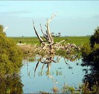 Bool Lagoon Game Reserve and Hacks Lagoon Conservation Park
