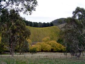 Mt Bera Vineyards - Accommodation Broome 0