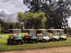 Loxton Golf Club - Accommodation Broome 0