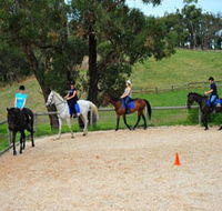 Megan Jones Riding School and Trail Rides - Accommodation Broome