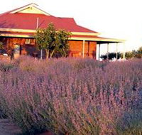 Bella Lavender Estate - Accommodation Broome