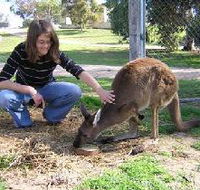 Pendleton Farmstay - Accommodation Broome