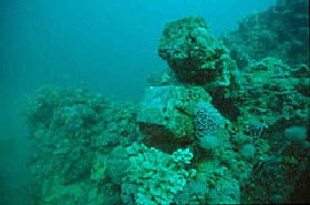 Adelaide's Underwater Heritage Trail - Accommodation Broome 0
