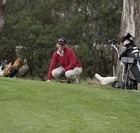 Tasmania Golf Club - The - Accommodation Broome