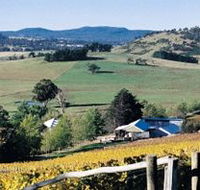 Freycinet Vineyards Pty Ltd - Accommodation Broome