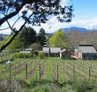 Wilmot Hills Vineyard - Accommodation Broome