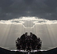 aart. Gallery of Fine Art - Accommodation Broome