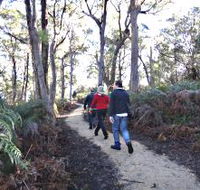 Bridport Walking Track - Accommodation Broome
