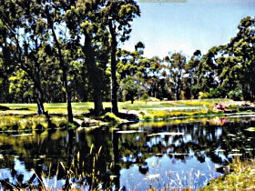 South Forest TAS Accommodation Broome