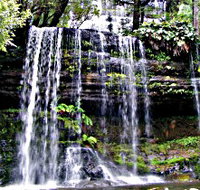 Mt Field National Park - Accommodation Broome