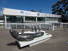 Australia's Antarctic Headquarters - Accommodation Broome 0