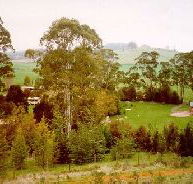 The Tasmanian Arboretum - Accommodation Broome