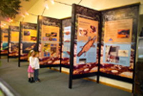 Platypus Experience - Accommodation Broome 0