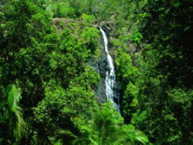 Montville QLD Accommodation Broome