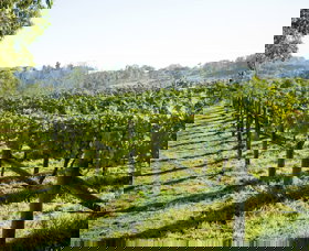 Surveyor's Hill Vineyards - Accommodation Broome 0