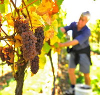 Native Point Wines - Accommodation Broome