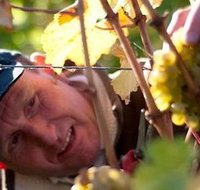 Puddleduck Vineyard - Accommodation Broome
