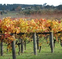Apsley Gorge Vineyard - Accommodation Broome