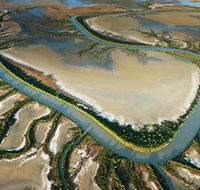 The Wilderness Gallery - Accommodation Broome