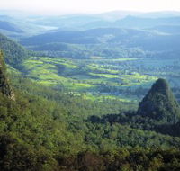 Springbrook Plateau Springbrook National Park - Accommodation Broome
