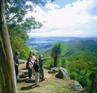 Gold Coast Hinterland Great Walk - Accommodation Broome