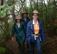 Mount Cougal Springbrook National Park - Accommodation Broome
