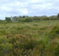 Pine Ridge Conservation Park - Accommodation Broome