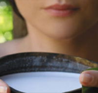 Ikatan Day Spa - Accommodation Broome
