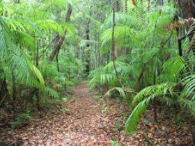 Mapleton QLD Accommodation Broome