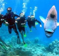 Magic Mountain Dive Site - Accommodation Broome