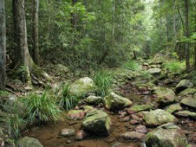 Amamoor State Forest - Accommodation Broome 0