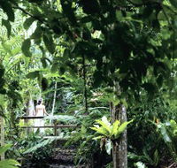 Flecker Botanic Gardens - Accommodation Broome