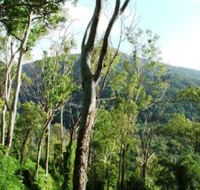 Smiths Track Barron Gorge National Park - Accommodation Broome
