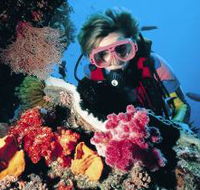 Osprey Reef - Accommodation Broome