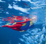 Pixie Pinnacle Dive Site - Accommodation Broome