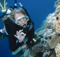 Moore Reef Dive Site - Accommodation Broome