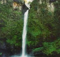 Nandroya Falls Circuit Track Wooroonooran National Park - Accommodation Broome