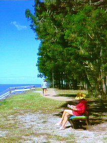 Melaleuca Track - Accommodation Broome 0