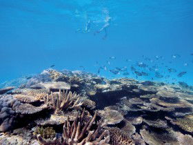 Australian Institute Of Marine Science - Accommodation Broome 0