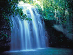 Millaa Millaa QLD Accommodation Broome