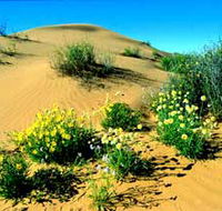 Simpson Desert National Park - Accommodation Broome