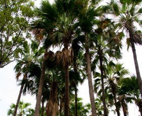 Palm Tree Creek - Accommodation Broome 0