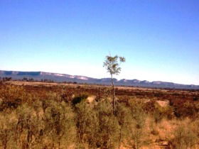 Tambos Wilderness Way - Accommodation Broome 0