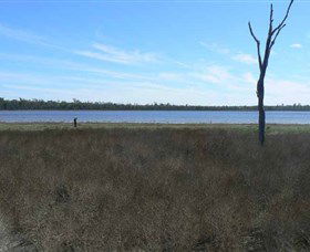 Lake Murphy Conservation Park - Accommodation Broome 0
