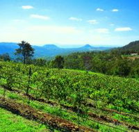 Preston Peak Wines - Accommodation Broome